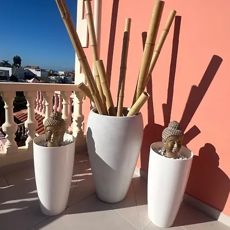 Spacious 500 M From The Sea! Playa Del Duque Prázdninový dům *